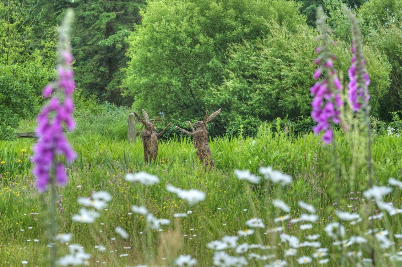 Orroland Holiday Cottages Dundrennan Esterno foto