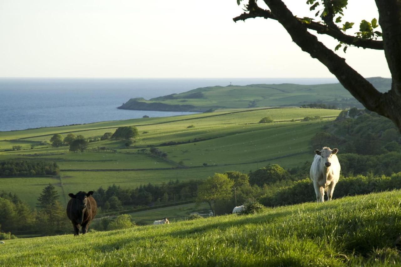 Orroland Holiday Cottages Dundrennan Esterno foto