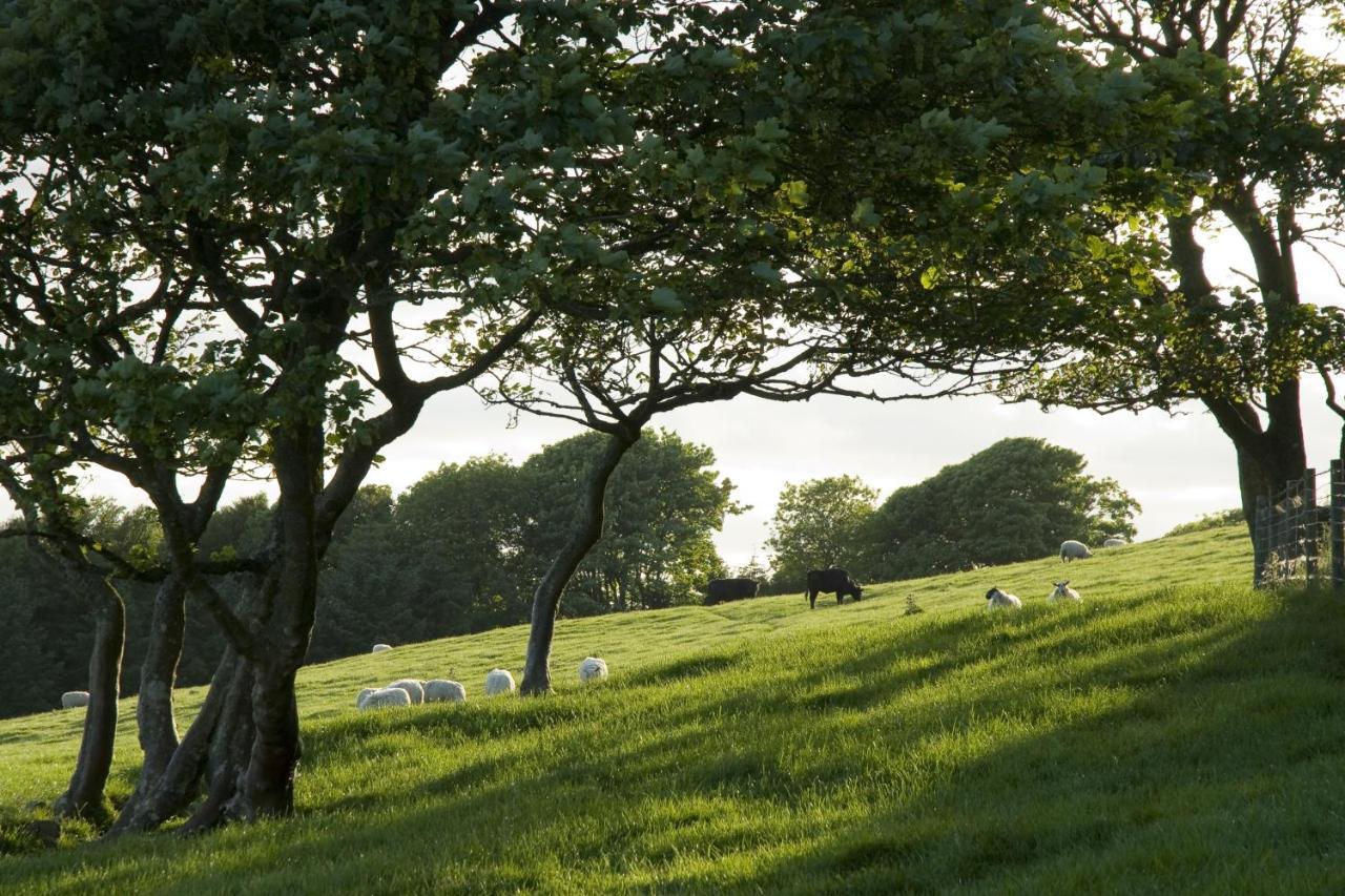 Orroland Holiday Cottages Dundrennan Esterno foto